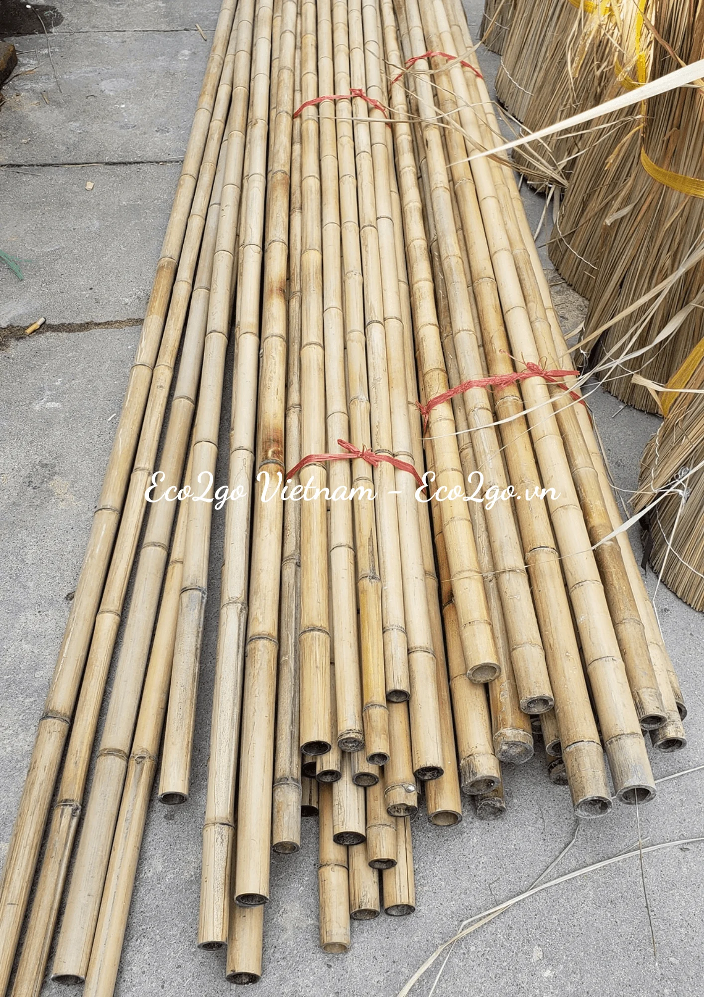 Best Seller Bamboo In Vietnam Bamboo Poles/ PVC Bamboo Poles/ Bamboo Poles Price With High Quality From Eco2go Vietnam