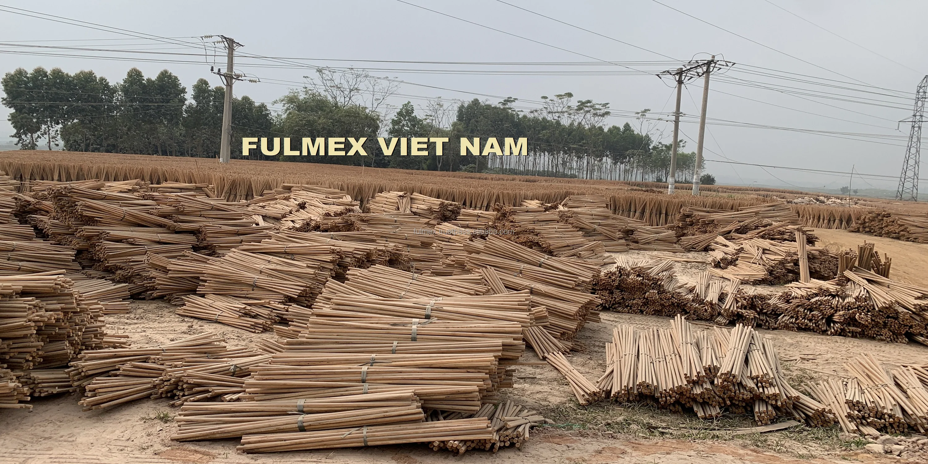 Garden broom with wooden handles natural eucalyptus wholesale exwork price less $0.1x supply bulk best quality