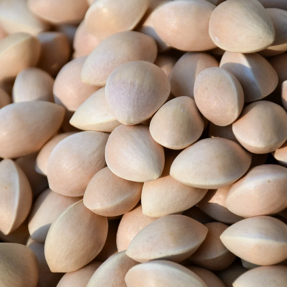 Лучшая цена сушеные качественные гайки Ginkgo для продажи