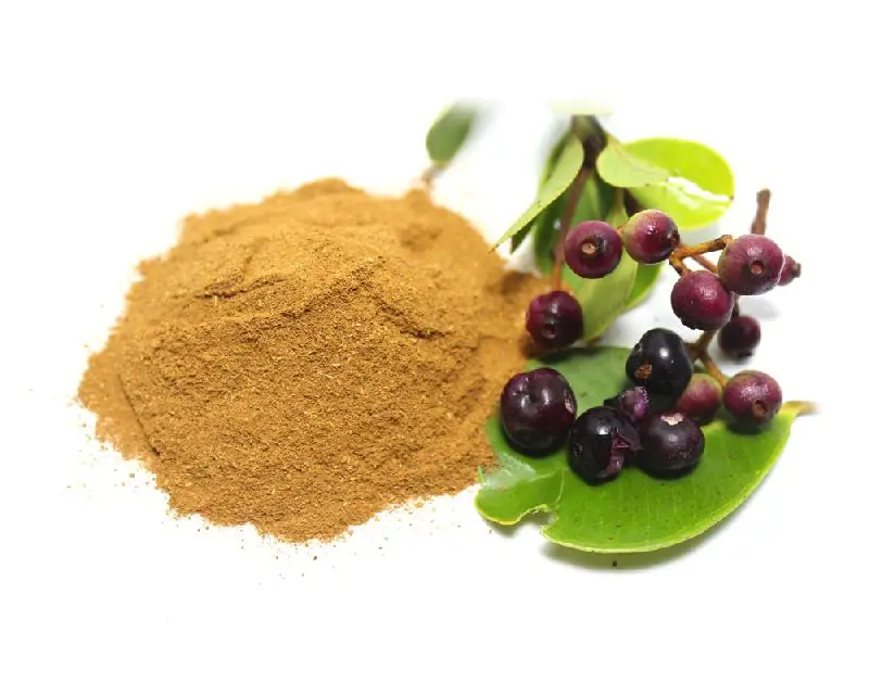 Free sample  Natural Jambolana Extract Powder Syzygium Cumini  Malabar/ Java plum/ Jamun Extract