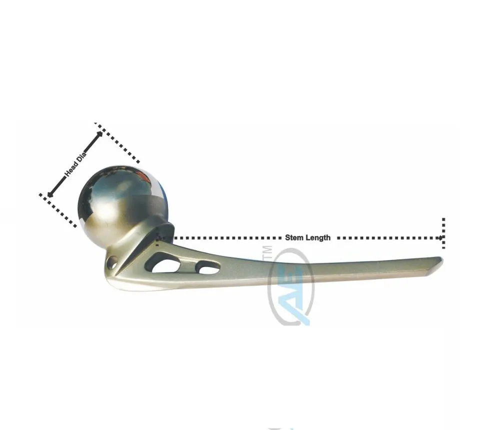 CE Certified India Manufacturer Wholesale Austin Moore Standard Stem at Lowest Price Hip Prosthesis Stainless Steel 316L