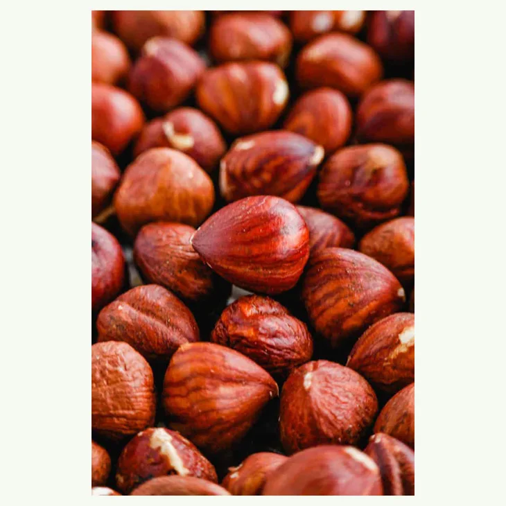 Raw Hazelnut / Organic Grade Hazelnut/Hazel Nuts for sale  Raw  Suppliers Roasted Hazelnut Dry hazelnuts