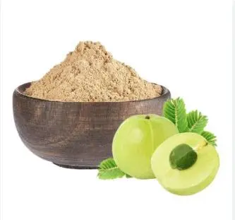 High Quality Iron Rich Amla Powder used for Body Health Wholesale Manufacturers and Exporters from India with Customized Packing