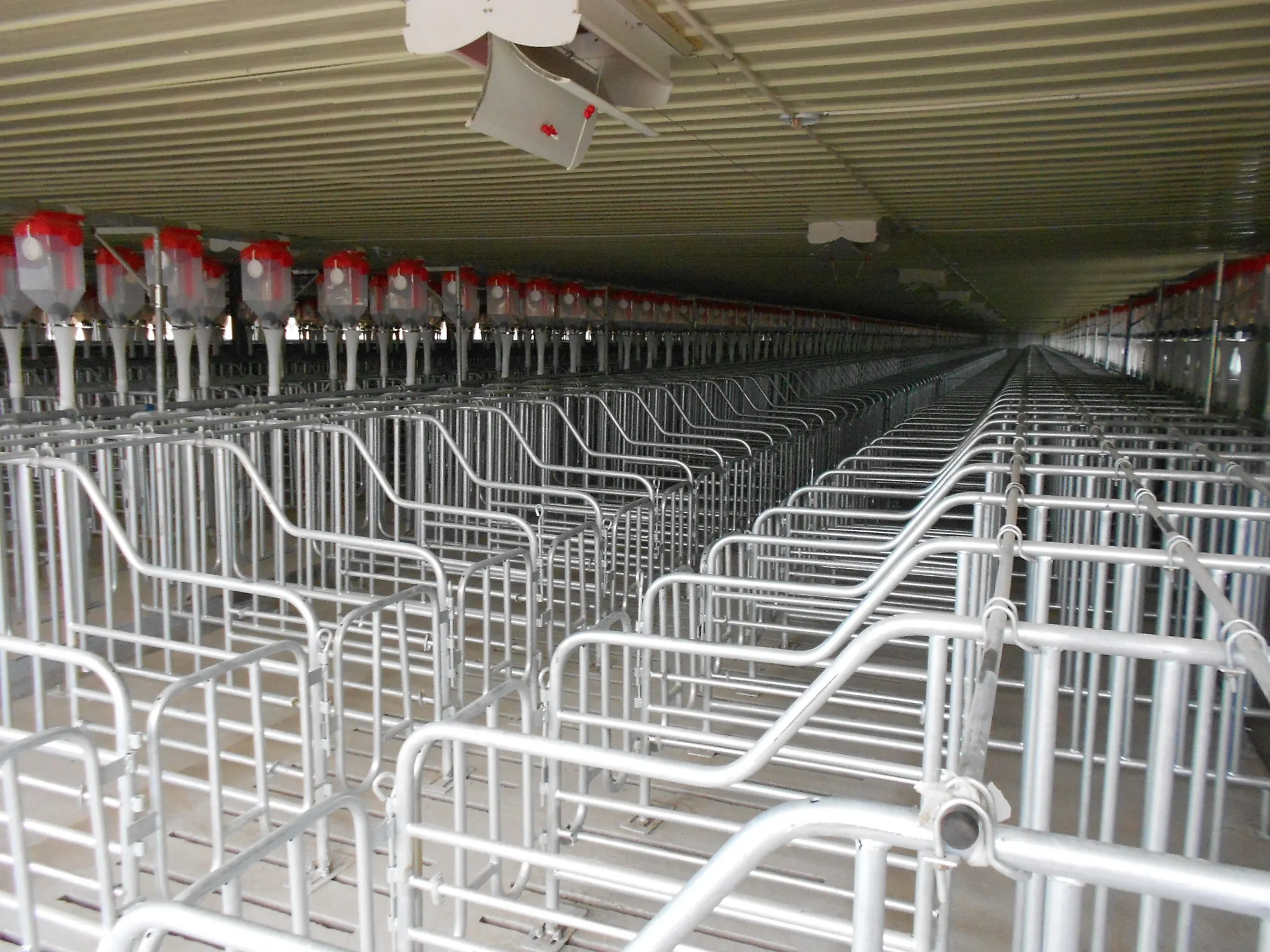 Hot Selling Products Animal Farming Equipment Heavy Gestation Stall Pig Sow Limit Positioning Bar Galvanized Gestation Pen