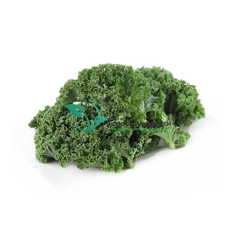 Wholseal Spinach juice powder organic green spinach powder