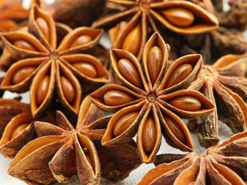 Good Price for Standard Star Anise from Vietnam Export All Grade in Bulk Quantity and Top Quality