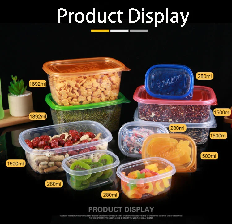 Factory custom PP plastic salad box salad bowl and container boxes,PP plastic packaging lunch food salad fruit packaging