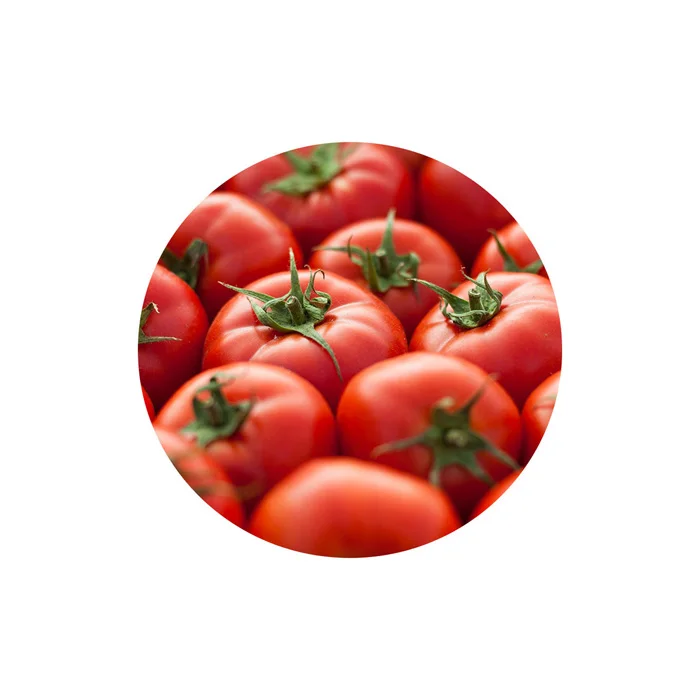 Wholesale Natural Vegetables Fresh Natural Cooked Tomatoes