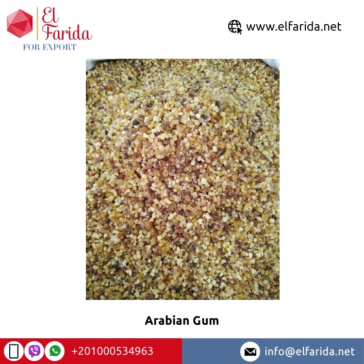 Egypt Origin Wholesaler Selling Best Quality Confectionery White Or Yellow Arabian Gum for Sale at Reliable Market Price