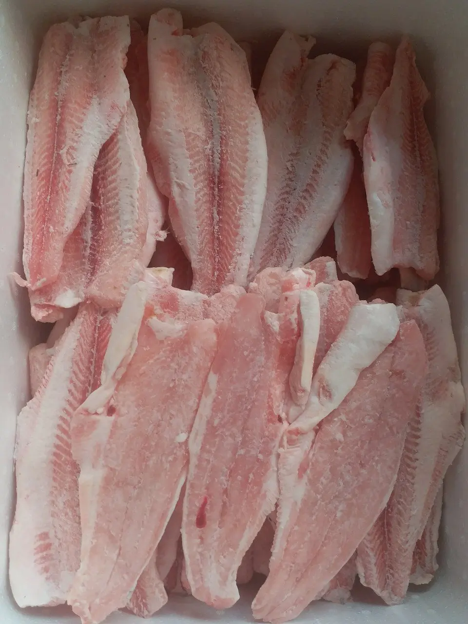 Frozen Pangasius/ Basa fish Fillet high quality 10 kgs with 87% max Max Moisture well trimmed meat