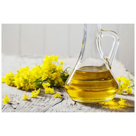 Rapeseed oil Certified Organic 100 % Pure Refined Rapeseed Oil / Canola Oil / Crude degummed ra