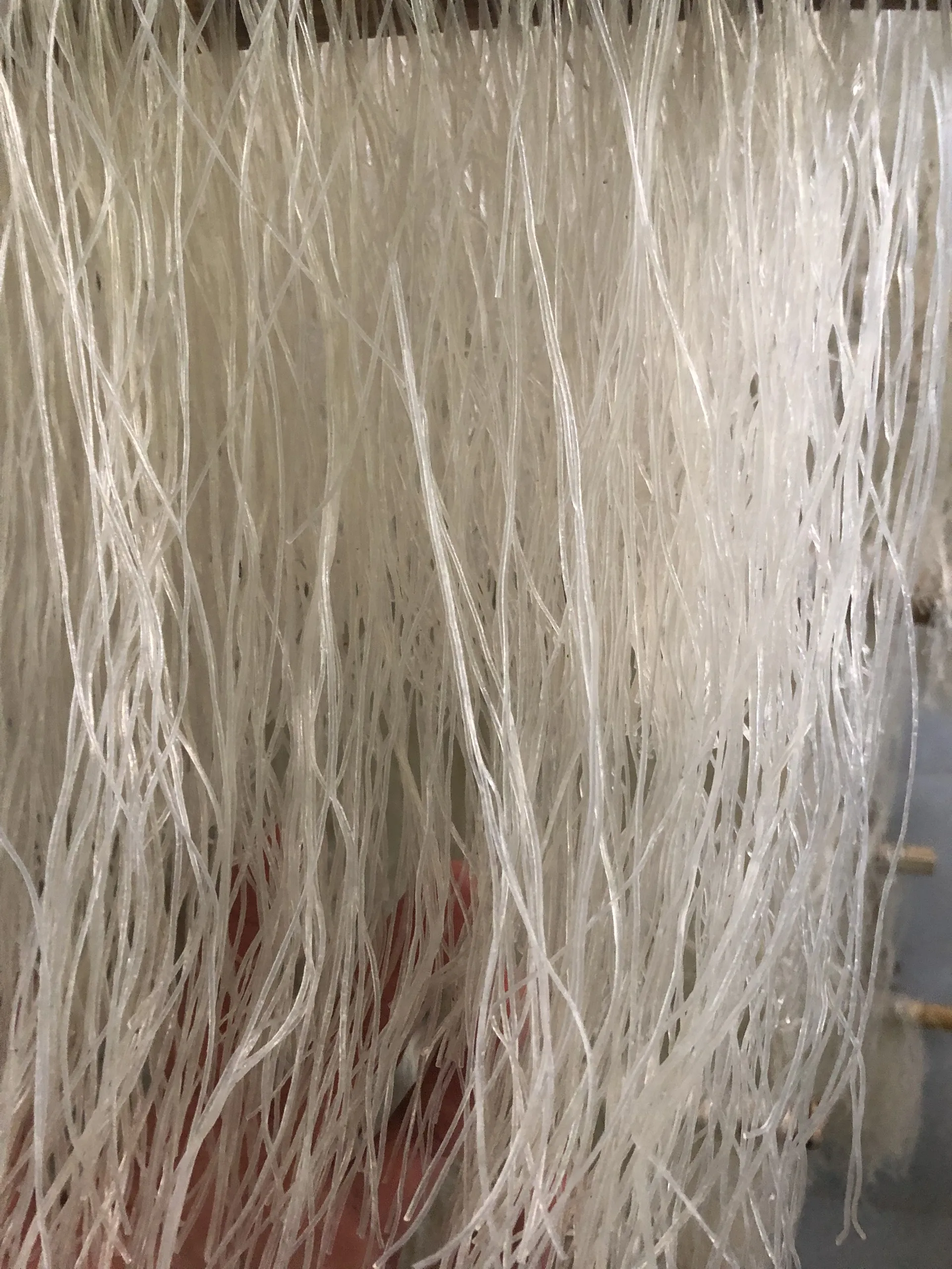 Food dry vermice instant noodles  rice and salt food  fresh food from hai duong viet nam