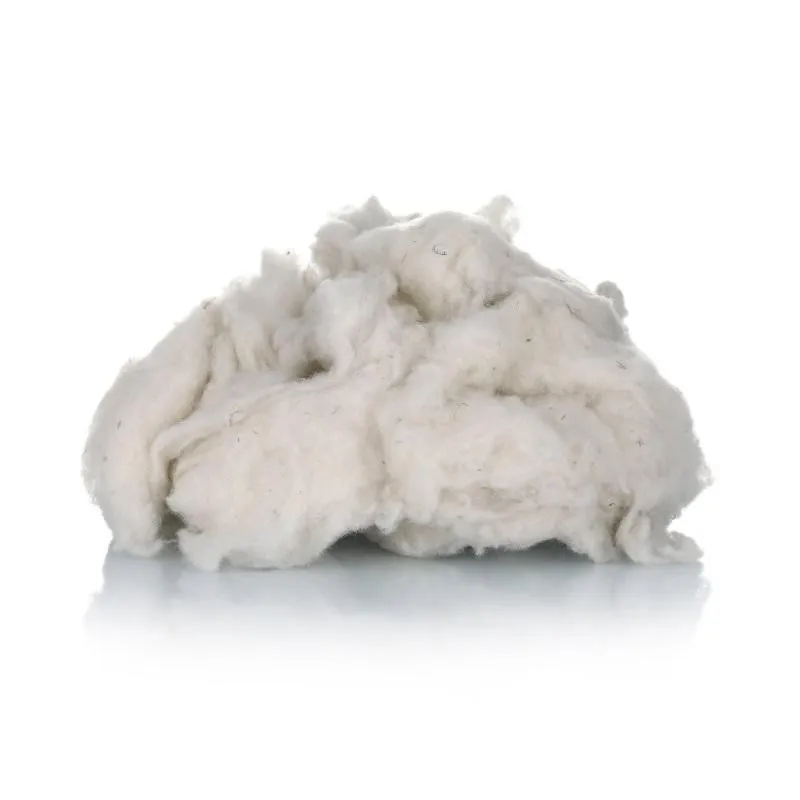 Wool Fiber
