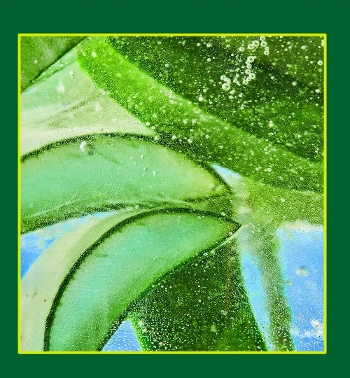 Manyo Factory Real Aloe Soothing Gel 300ml Korean Skincare Kbeuaty Cream Toner Serum Facial cosmetics