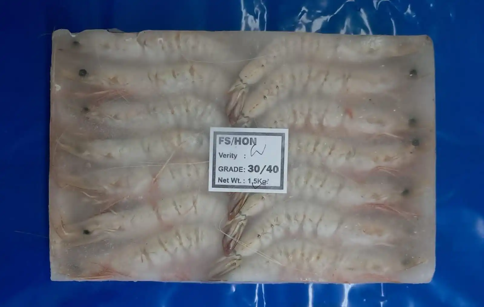 FROZEN HEAD ON SEA WHITE SHRIMPS G-I (PENAEUS INDICUS)