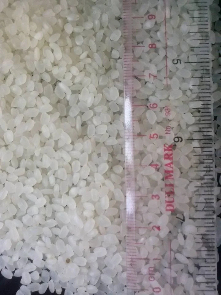 JAPONICA RICE /ROUND RICE EXPORTER FROM VIETNAM