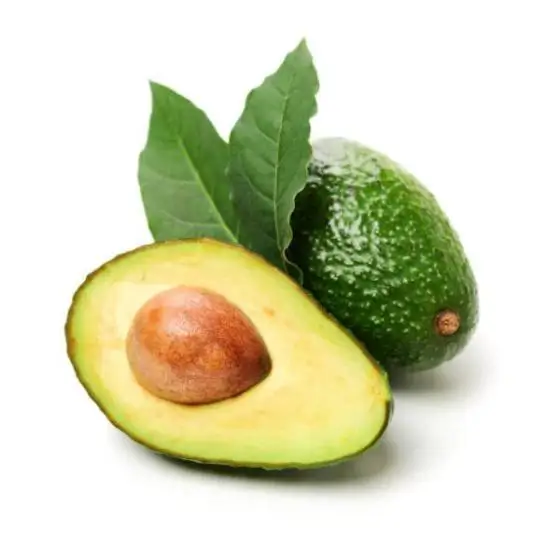 Avocado Hass Fresh Avocado from Peru Green Tropical Style Color/ Wholesale Fresh Premium Avocado