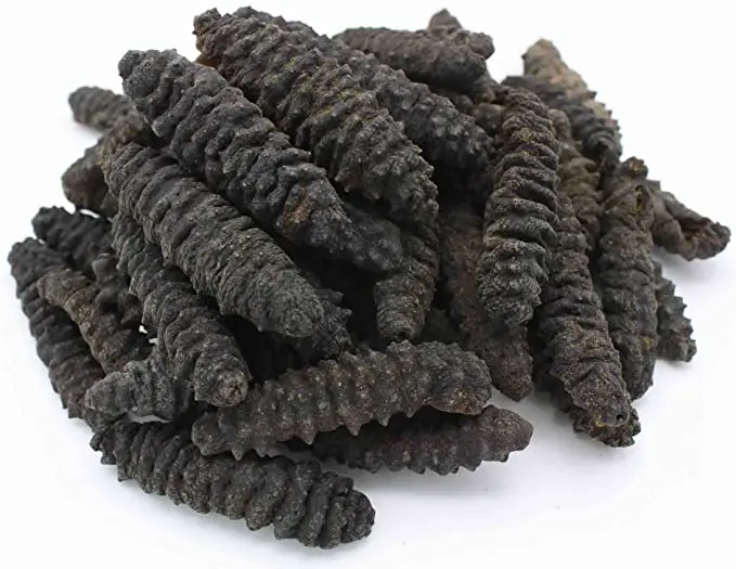 Dried Sea Cucumber Buy Online Wholesale Deal Manufacturer Bulk Stock Supplier