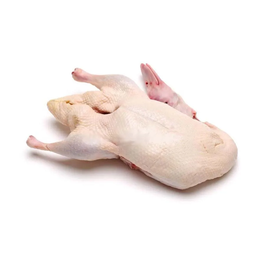 Halal Frozen Whole Duck/ Frozen Duck Feet and Duck