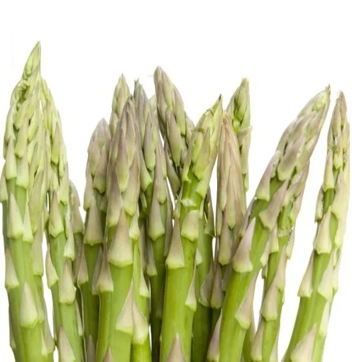 Best Quality Green asparagus spears IQF frozen vegetables IQF frozen foods Low Price Fresh new crop Hot selling high quality