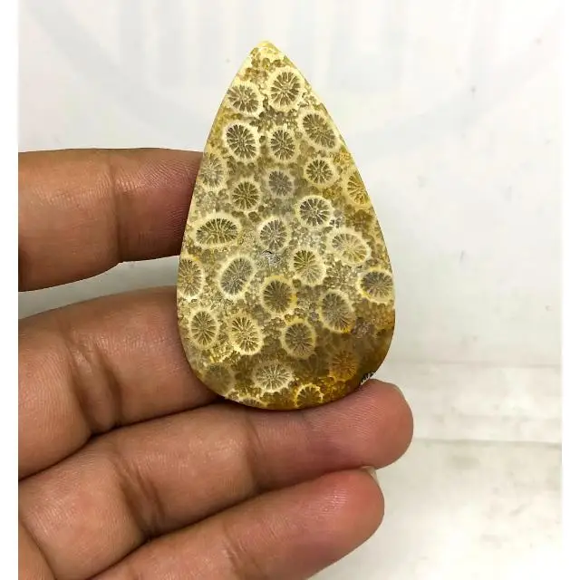 Best Beautiful 100%Natural  Wholesale Cabochon Loose Gemstone Cabochon Fossilized Coral Gemstone for Jewelry Making luxury stone