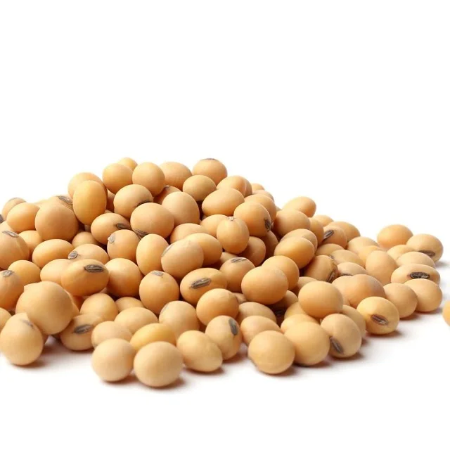 Hot sale Soybeans / High Quality Non GMO Yellow Dry Soybean Seed / NON-GMO Soya Beans