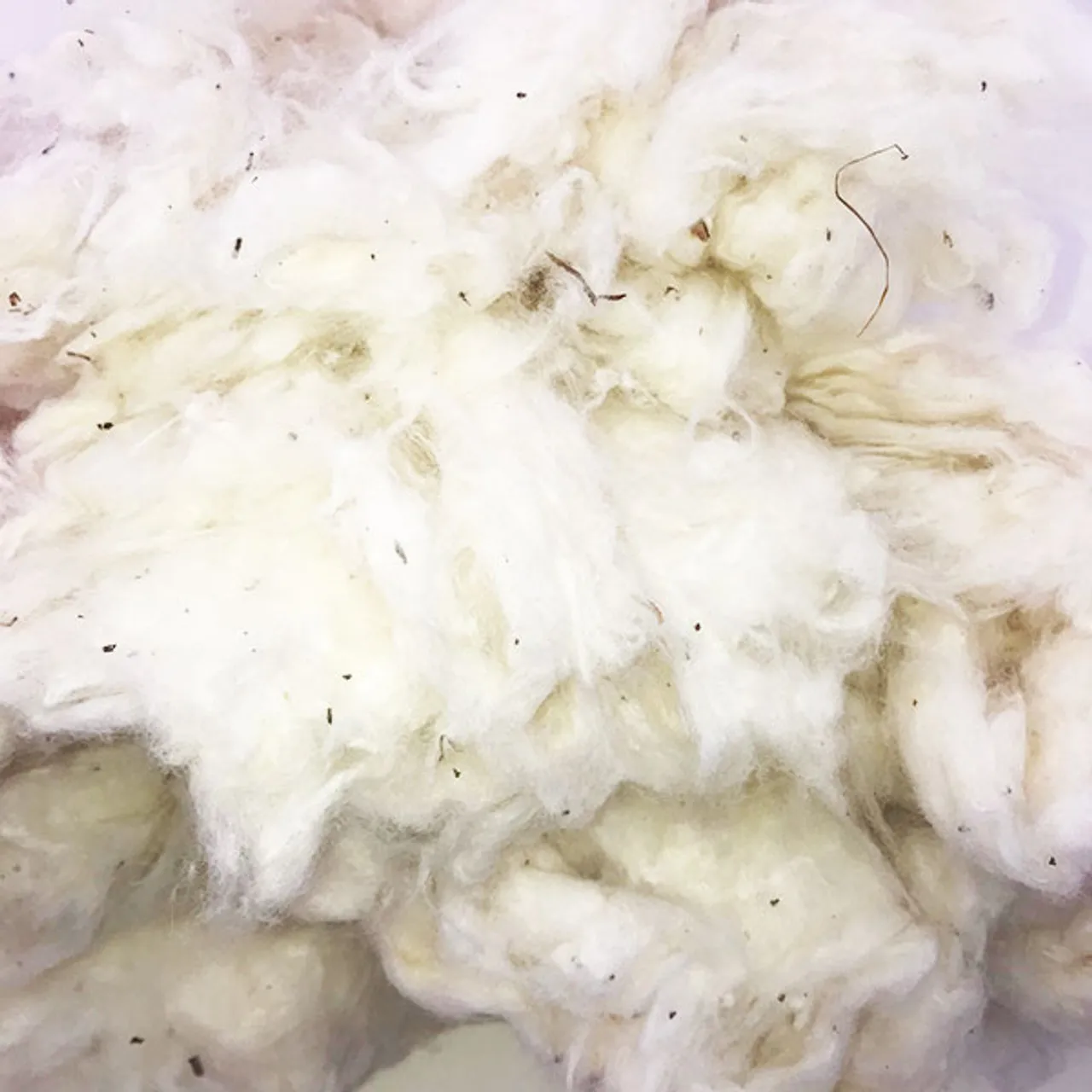 Quality Bulk Raw Cotton raw cotton cotton wool