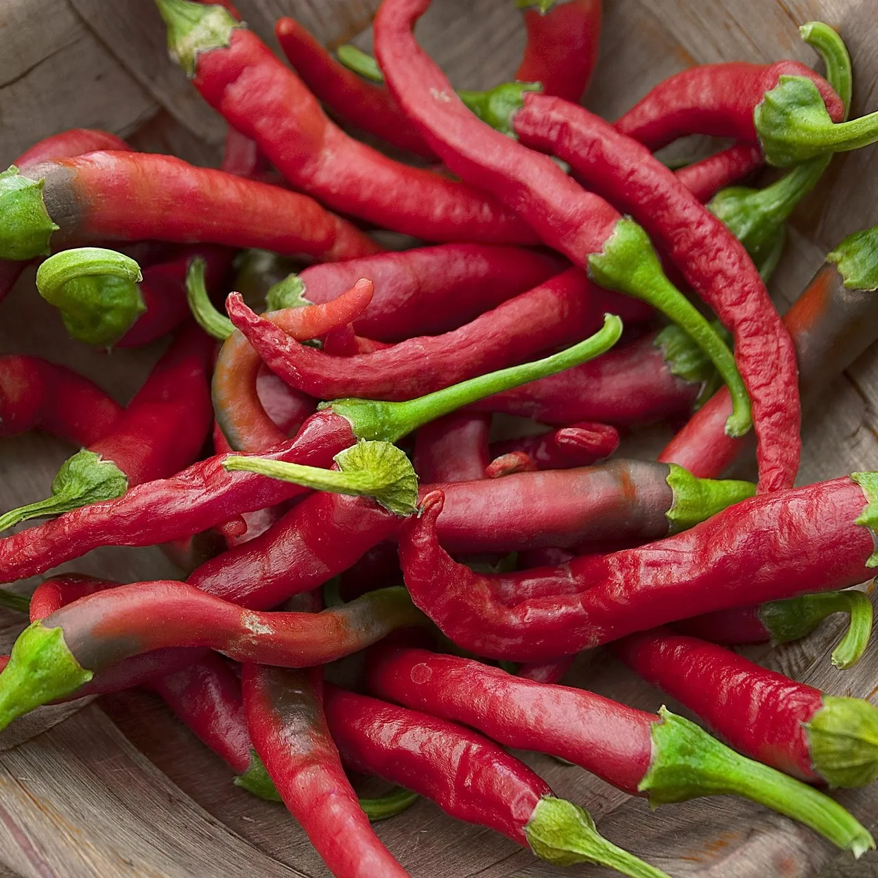 Made in Italy high quality food products condiment ready to eat 500 gr Chili spread  in glass jar