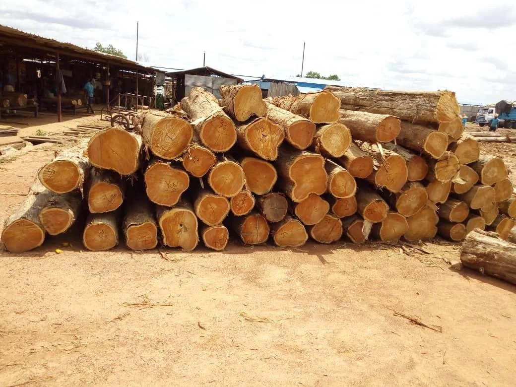Оптовая продажа, деревянные бревна из тикового дерева, массивные лесные сосновые и красные вишневые бревна из тикового дерева