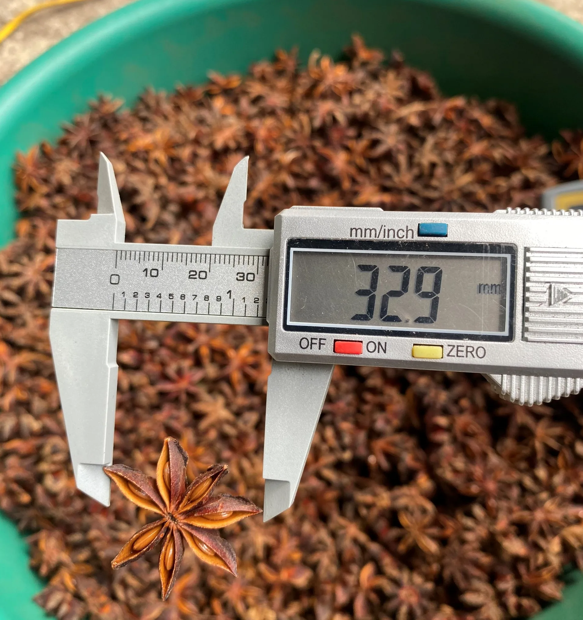 High Quality Dried Star Anise New Crop Spices for Cooking Wholesale Bulk Cinnamon Seed and Herb at Low Prices