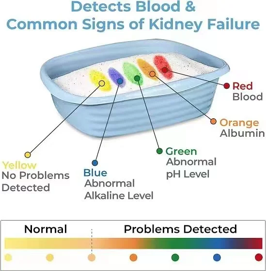 Manufacturers spot silicone cat litter can be customized fragrance deodorization dust-free packaging crystal cat litter