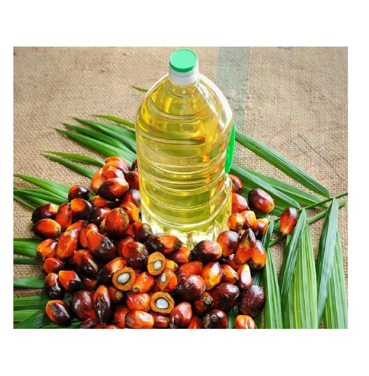 Best Quality Custom Made Wholesale Crude Palm Oil Cp6 Cooking Palm Oil Pitch Palm Oil