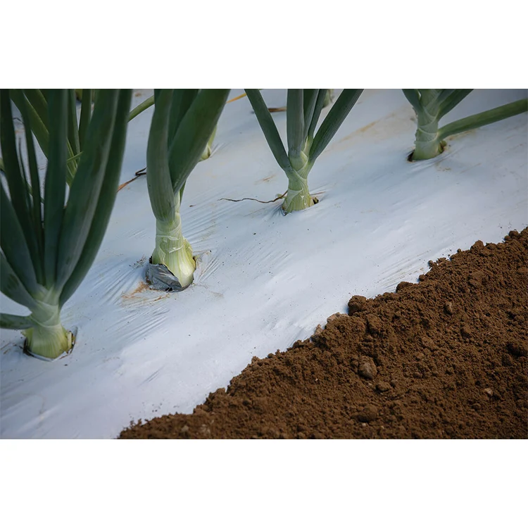 Недорогая черная и серебряная блестящая сельскохозяйственная пленка LDPE 1,2 м x 250 м x 30 мкм, гибкая пластиковая крышка из малайзии