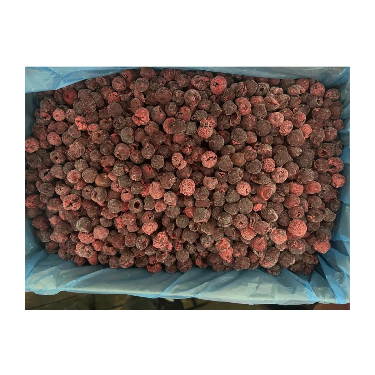 High quality IQF 10 kg frozen berries from Uzbekistan IQF Frozen sour pitted cherry in carton boxes for food