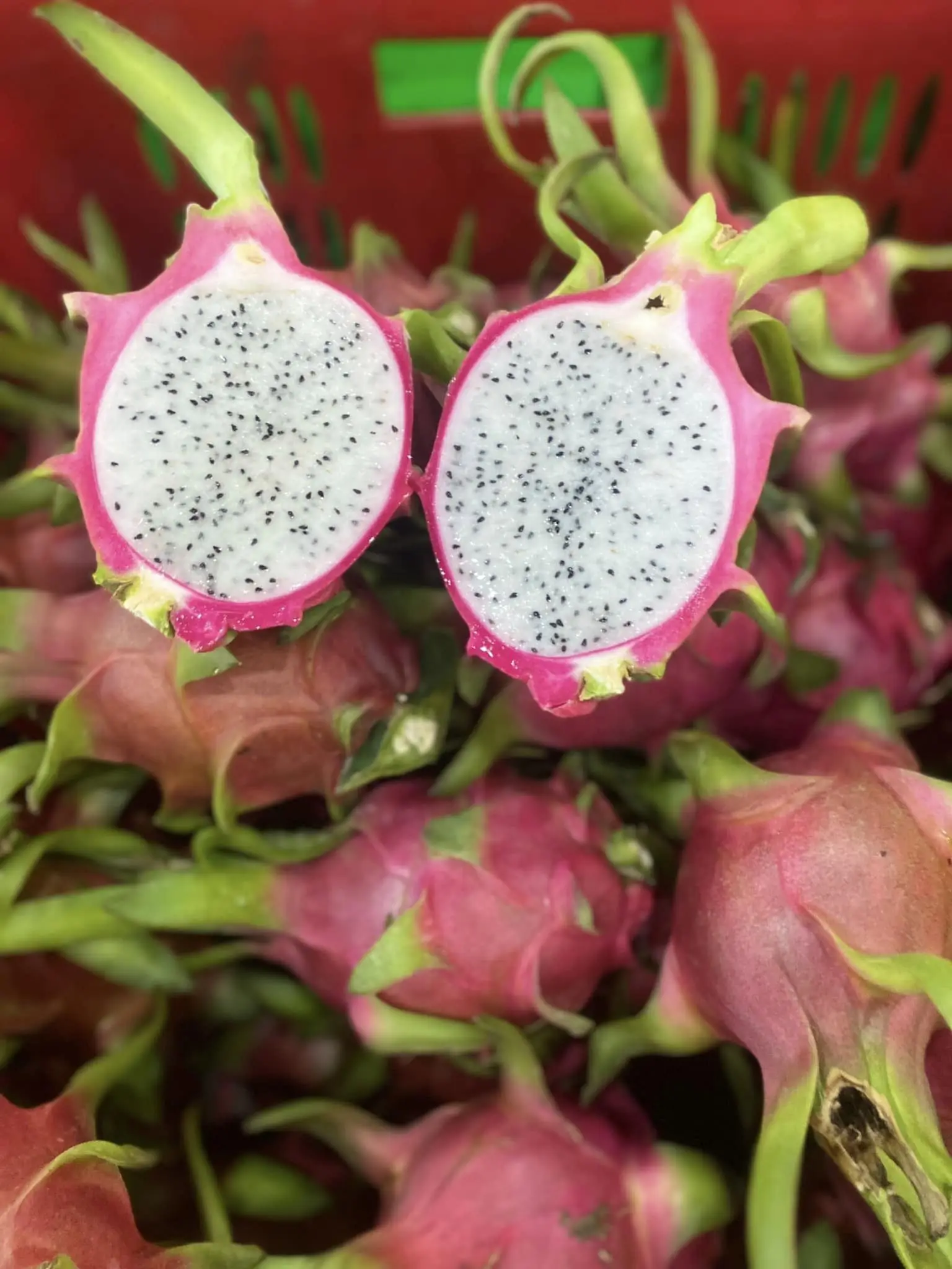 Fresh Dragon Fruit Red and White Dragon From FARM Origin Vietnam Best Price For Export  Top Supplier Fresh Fruits And Vegetables