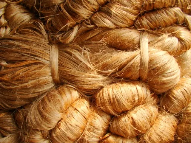 Low Price Good Quality Wholesale Export Oriented Excellent Quality Low Price 100% Jute Nature Color Jute Fiber From Bangladesh