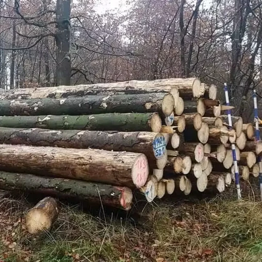 European Spruce Logs For Sale