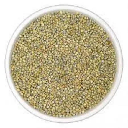 pearl millet pearl millet bajra