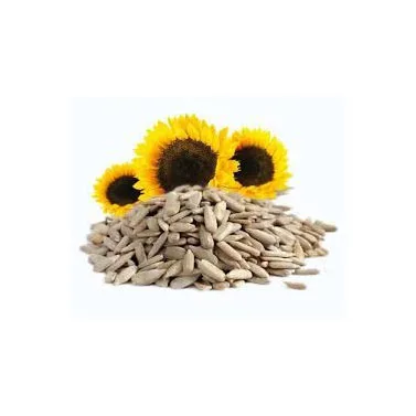 Seeds Ready for Export Factory Direct Sales Healthy Pure Natural Vegetable Nuts Newest Crop Organic Bulk Sunflower