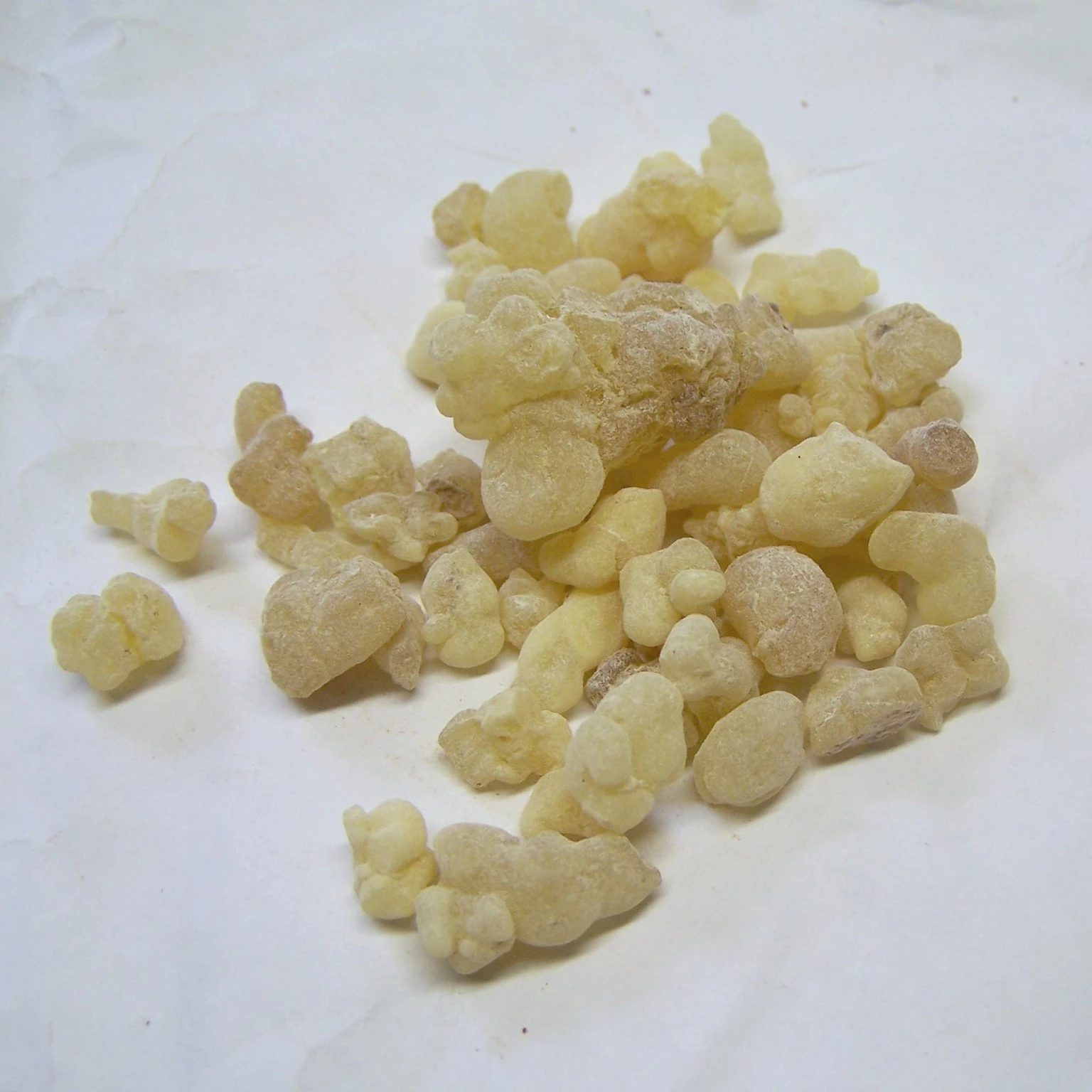 Natural Gum olibanum / Frankincense