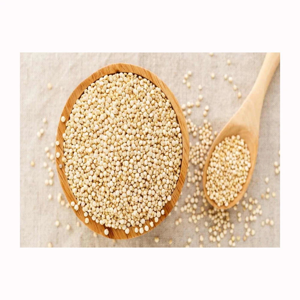 Best Factory Price of Natural Organic Seeds White Quinoa Grains Health care Grains Available In Large Quantity
