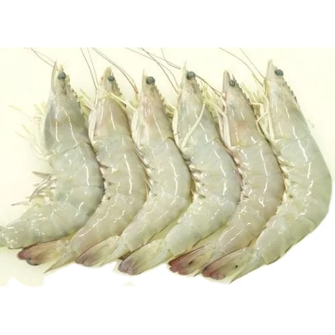 Shrimps frozen Vannamei White Prawns, Peeled/Deveined, Frozen,1kg 16/20 Raw Peeled King Prawns - Frozen