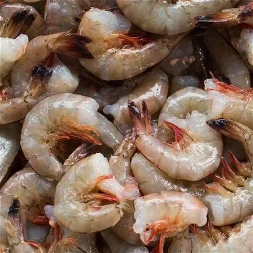 delicious food sea products fresh frozen shrimp price