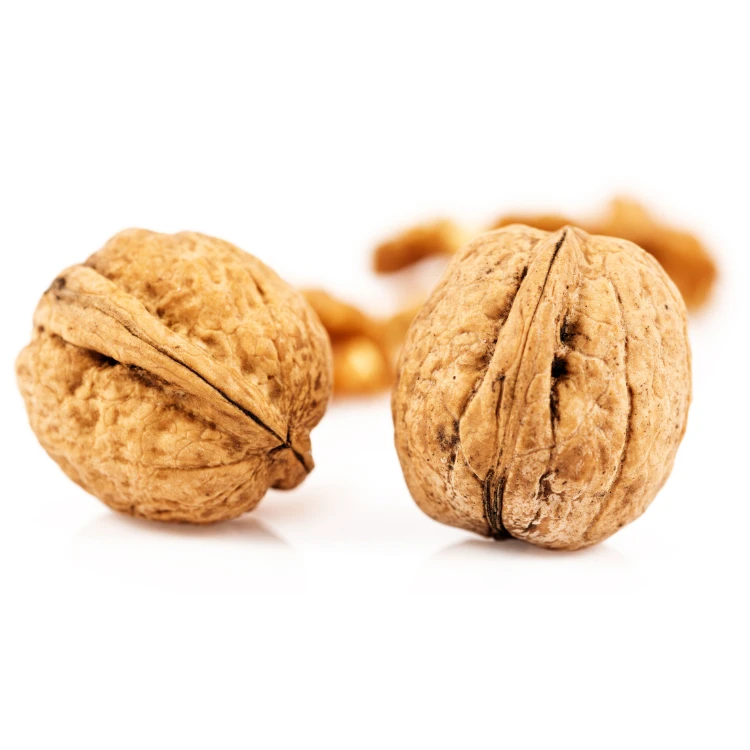 Wholesale Best Quality Custom Made Wholesale Factory Price Walnuts For Sale
