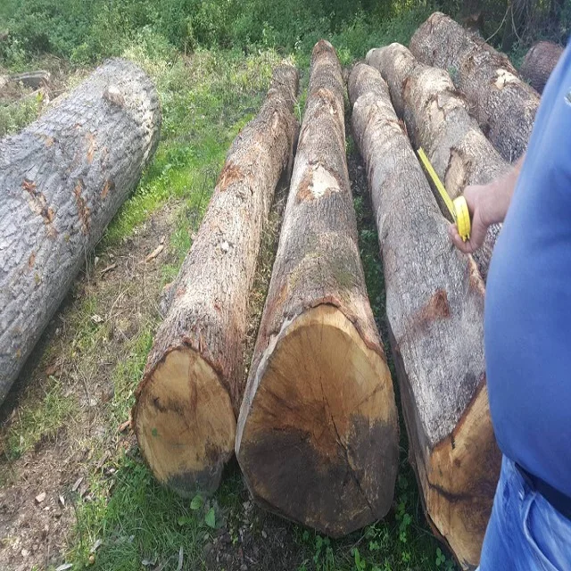 Древесина из сосны и дуба древесина