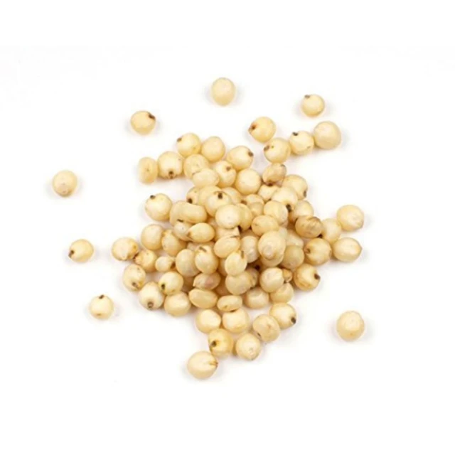 Sorghum Grains and Good Quality Red White  Sorghum