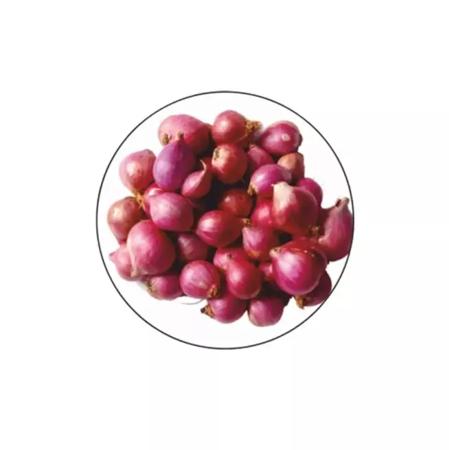 Fresh Vegetable Red Onion