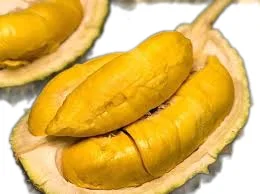 The Best Fresh Durian , Tropical Fruit, Vietnam Export products to China, Thailand, Malaysia, Turkey Fresh Durian Fruit