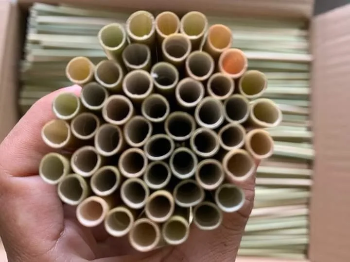 Hot Selling Eco-friendly Drinking Grass Straws With High Quality Manufacture At ViGi Farm From Vietnam