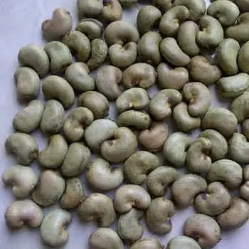 Made In Vietnam Wholesale Organic Cashew nuts Raw Cashew Dried Nuts Lowest Price Cashew Kernel